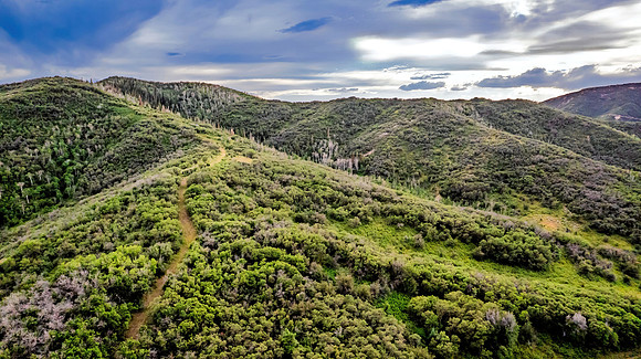 DJI_0311