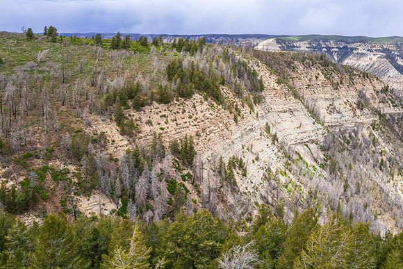 DJI_0182