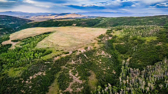 DJI_0365