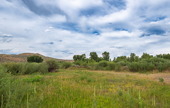 DSC_6249