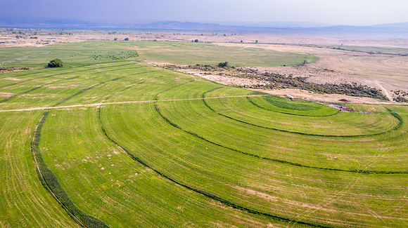 DJI_0534 (2)