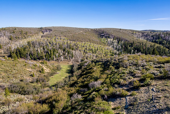 DJI_0904