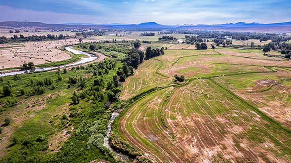 DJI_0229