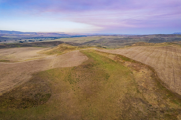 DJI_0134