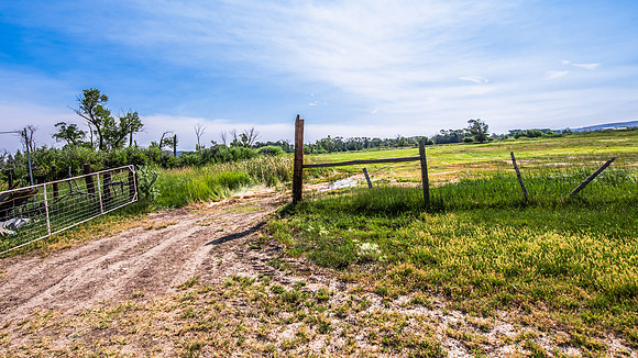 DSC_6188