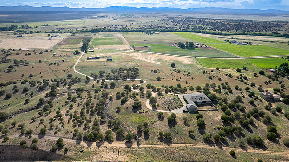 DJI_0449