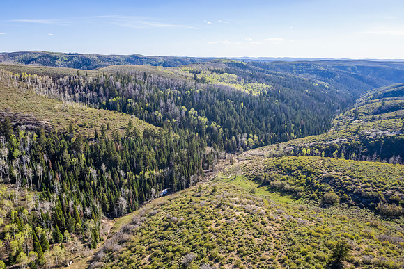 DJI_0909