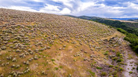 DJI_0302