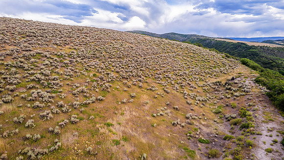 DJI_0302