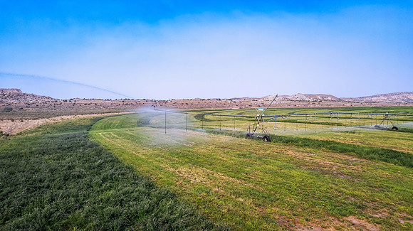 DJI_0546 (2)
