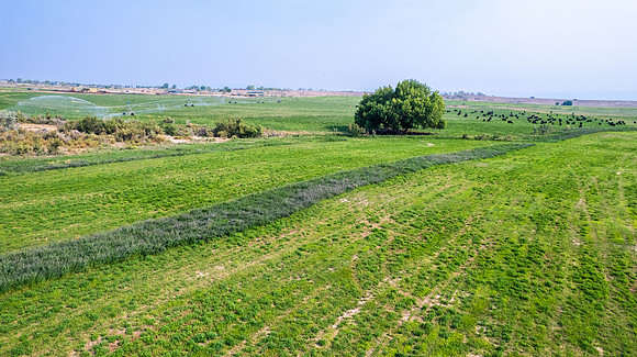 DJI_0554 (2)