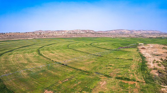 DJI_0541 (2)