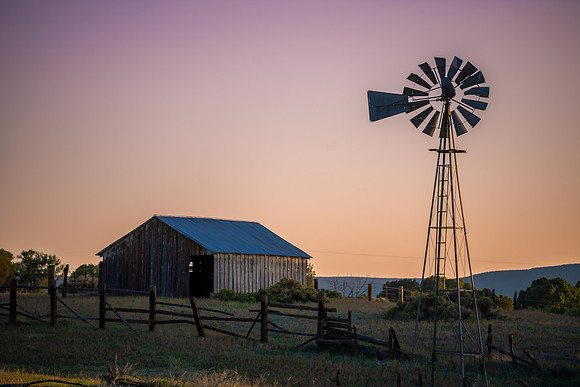 DSC_1604