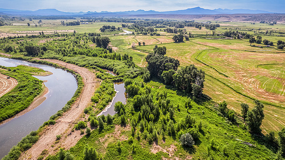 DJI_0224