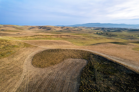 DJI_0163