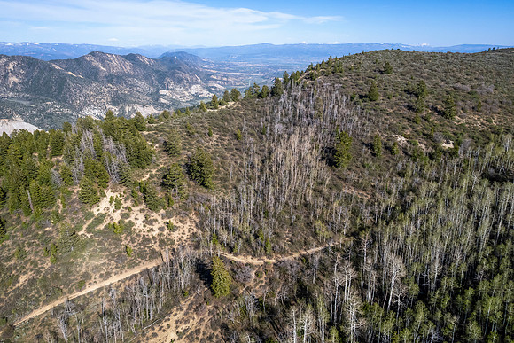 DJI_0921