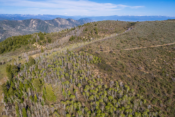 DJI_0914