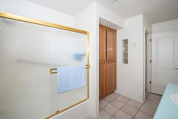 downstairs guest bath1