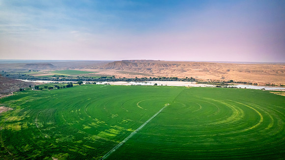 DJI_0429