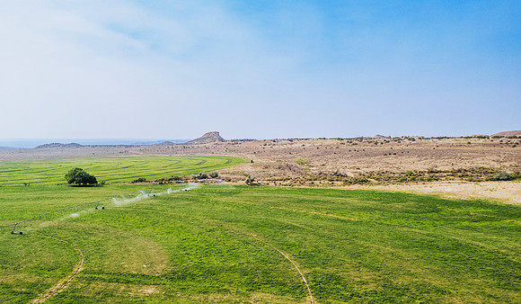 DJI_0524