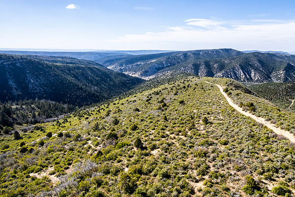 DJI_0883