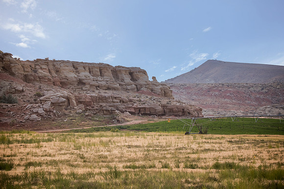 DSC_0991