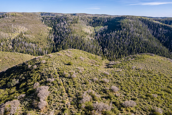 DJI_0957