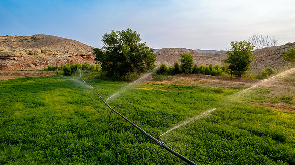 DJI_0436 (2)
