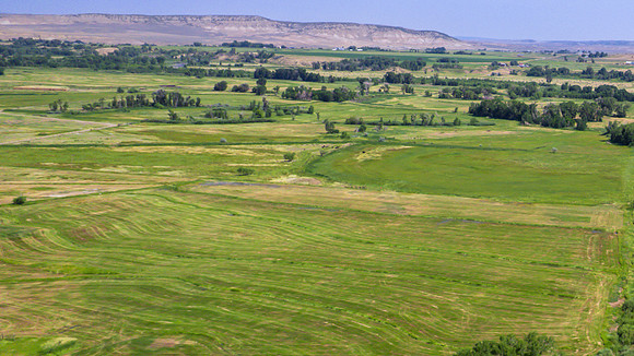 DJI_0254