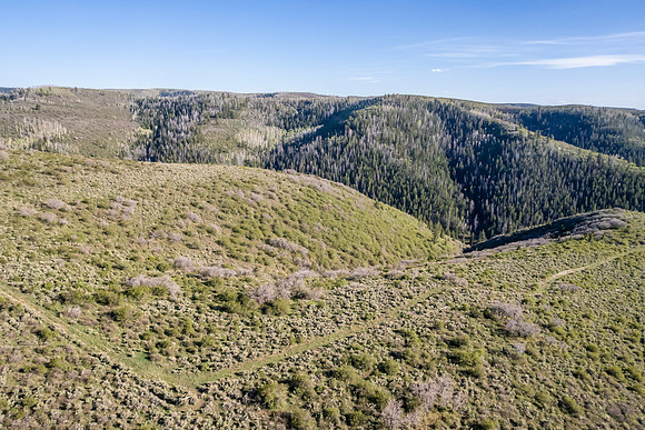 DJI_0972