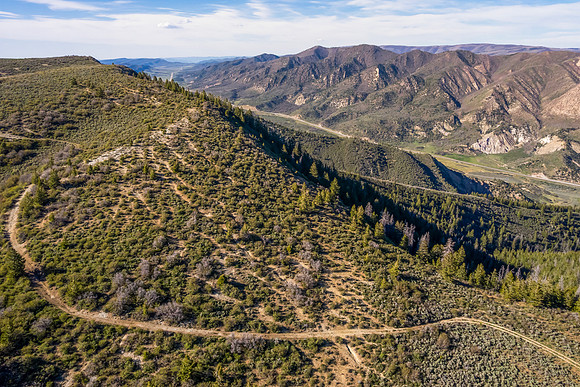 DJI_0922