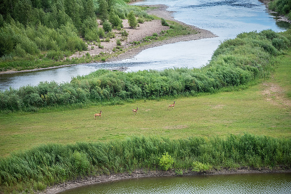 DSC_0955
