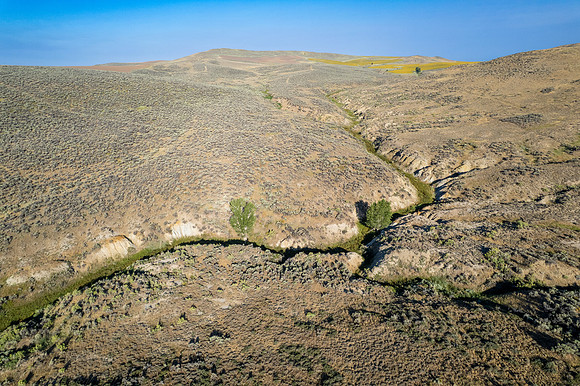 DJI_0185