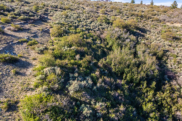 DJI_0928