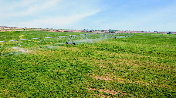 DJI_0558