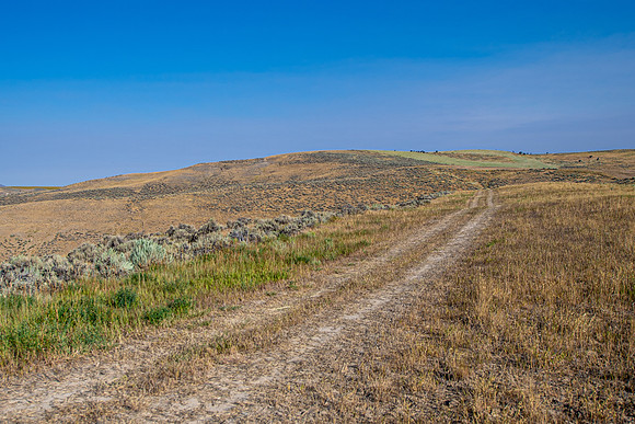 DSC_6154