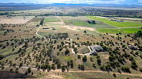 DJI_0449