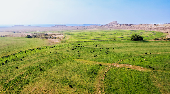 DJI_0527 (2)