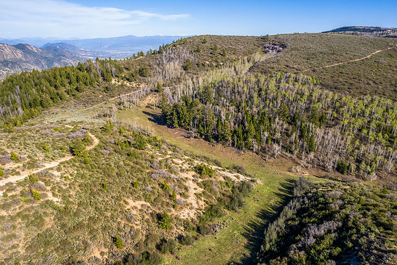 DJI_0908