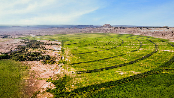 DJI_0531