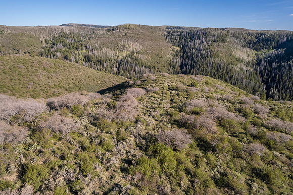DJI_0986