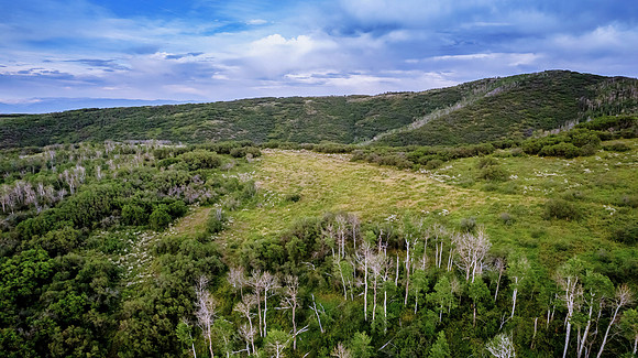 DJI_0348