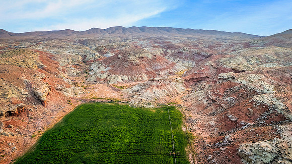 DJI_0440