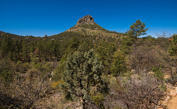 DSC_4787