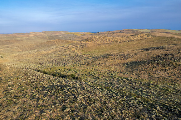 DJI_0164