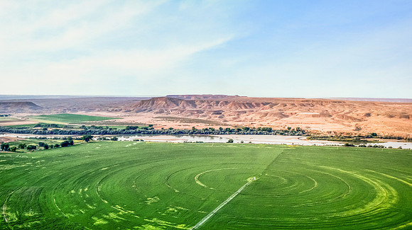 DJI_0429 (2)