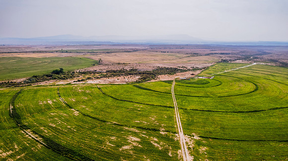 DJI_0533