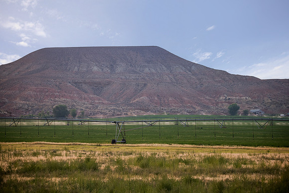 DSC_0990