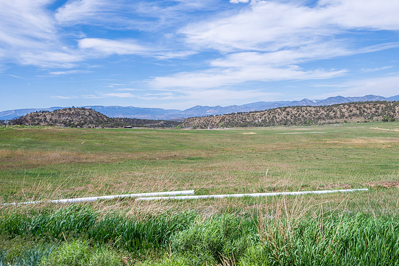 DSC_9198