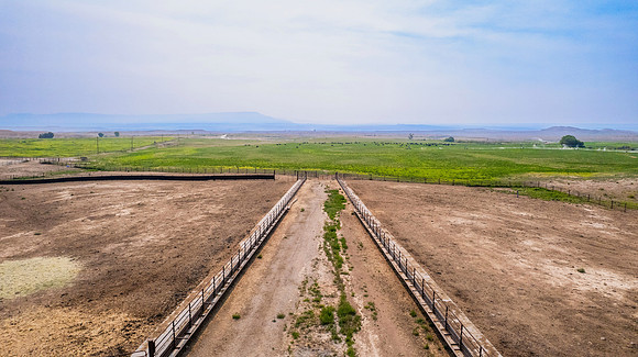 DJI_0520